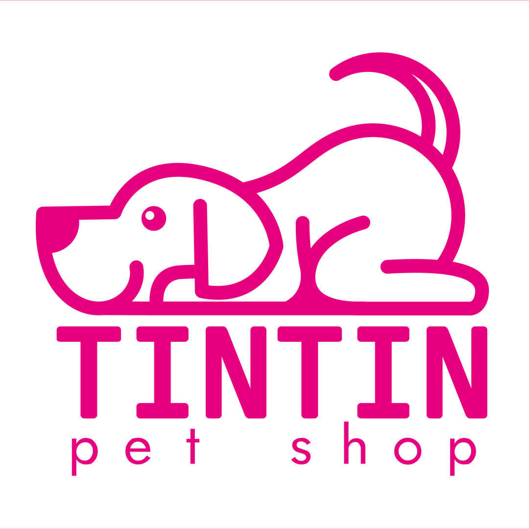De boutique a Pet Shop: Descubre la transformación de Tin Tin y su nuevo logo minimalista