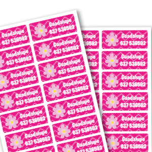 70 Etiquetas Adhesivas Personalizadas con Iconos - 2cm x 5cm, Resistentes al Agua