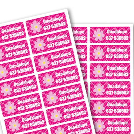 70 Etiquetas Adhesivas Personalizadas con Iconos - 2cm x 5cm, Resistentes al Agua